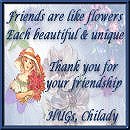 Thanks Chilady!