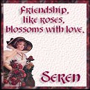 Thanks Seren!