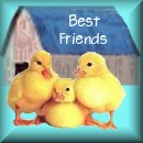 Visit My Friendship Quilt!