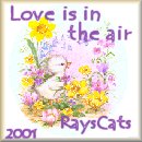 Thanks Raylene!