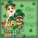 Thanks Lainey!