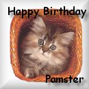 Thanks Pamster!