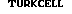Turkword