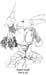 rabbitknight