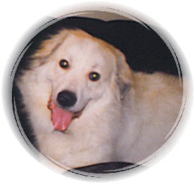 Sebastian-Rest In Peace