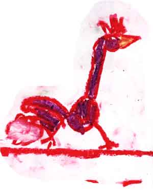 frango correndo , Pedro 6 anos