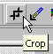 Cropping Pictures