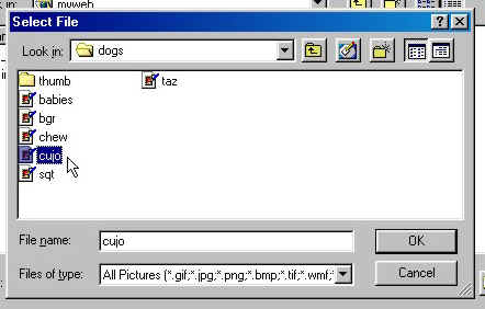 Select a file