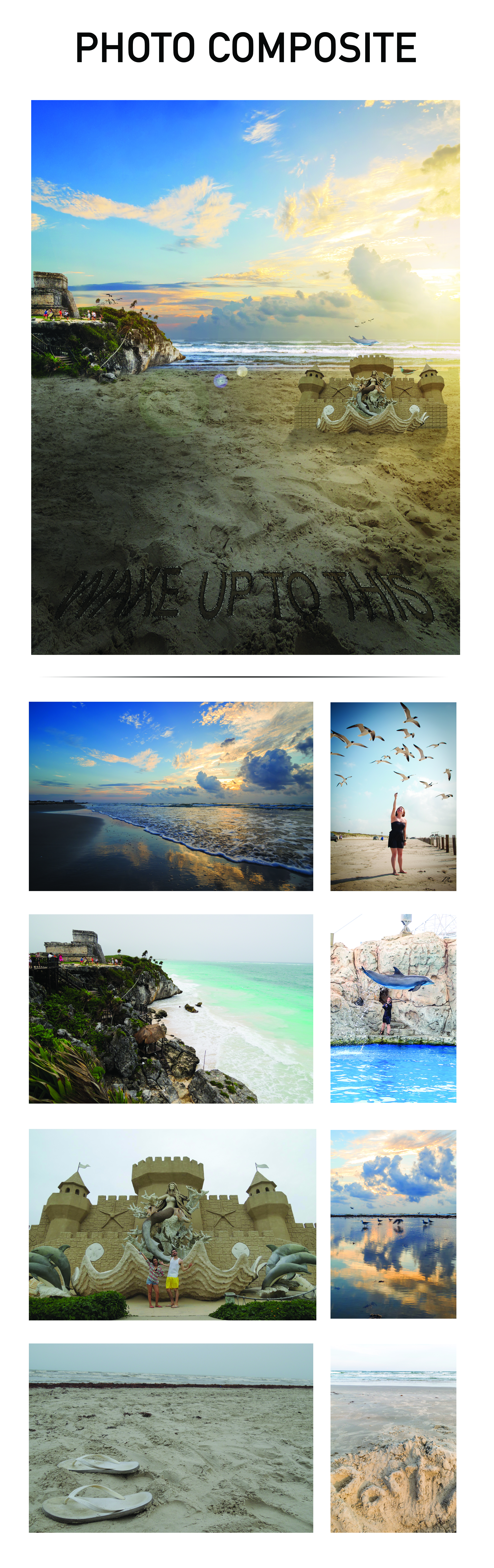 photocomposite