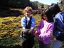 Seashore_Adventures-0164-Tidepooling-Anna_Sparks_holding_Sunflower_Star_Victoria_Cho_on_right.JPG