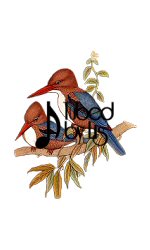Birds2