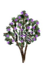 Purple RoseBush