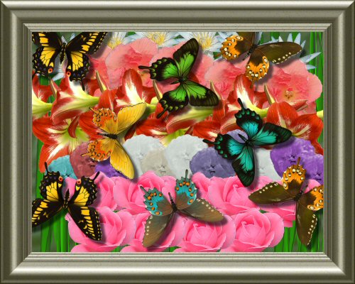 flowers and butterflies