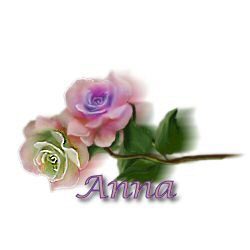 second rose