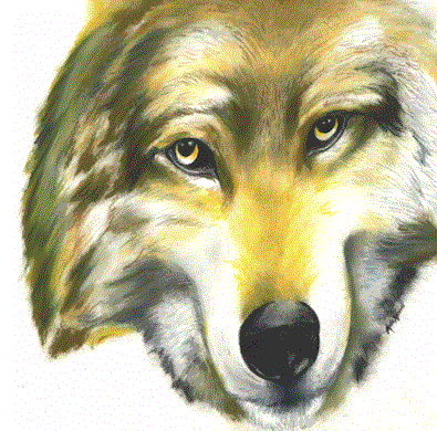 cover.jpg (76902 bytes)