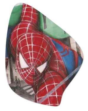 spider2.jpg (138944 bytes)