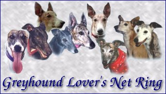 Greyhound Lover's Net Ring
graphic