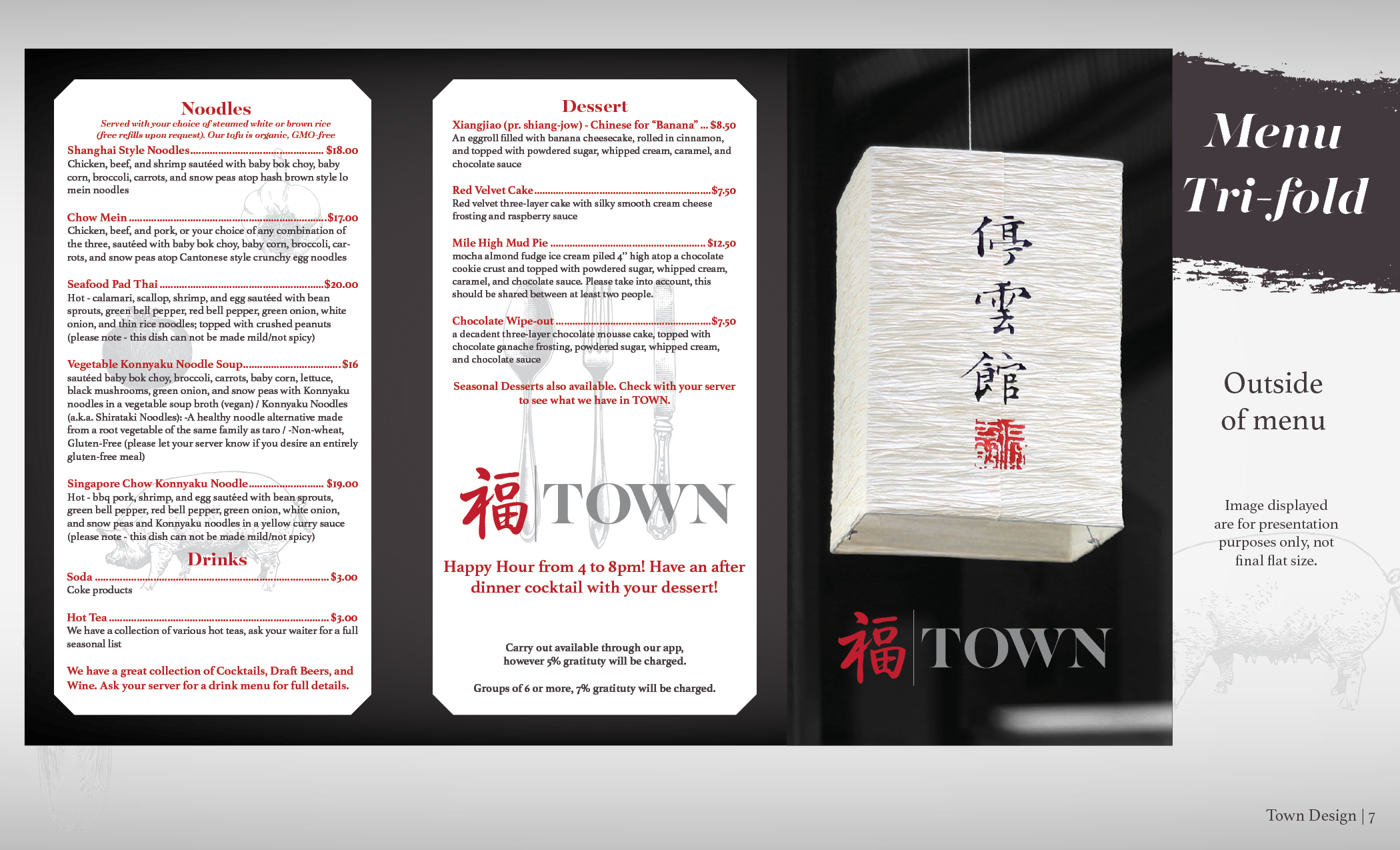 TOWN Presentation 3