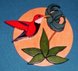 Semented Hummingbird  