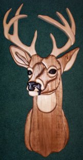 Eight-Point Buck 