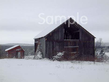 barn1.jpg