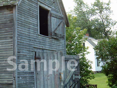 barn11.jpg