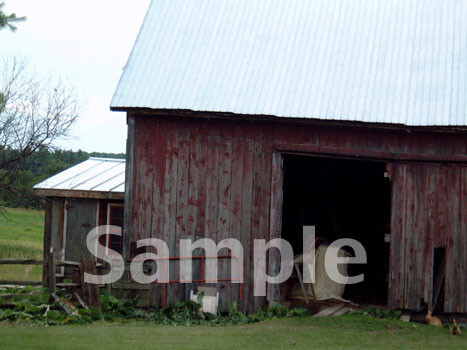 barn12.jpg