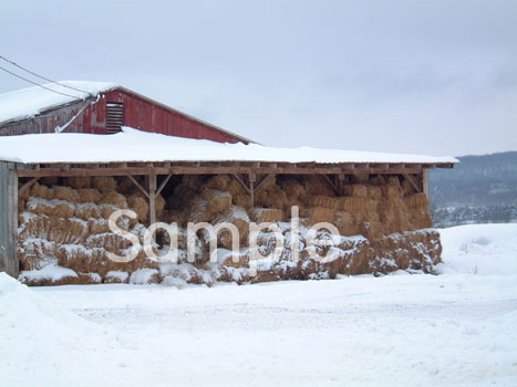 barn2.jpg