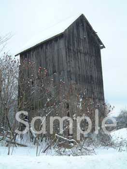 barn3.jpg