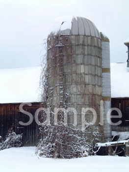 barn4.jpg