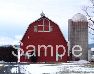 barn6.jpg