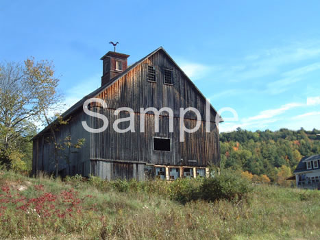 barn7.jpg