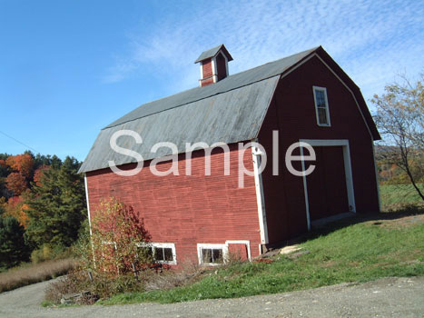barn8.jpg