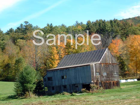 barn9.jpg