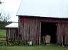 barn12