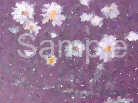 flowers13.jpg