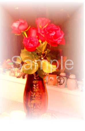 flowers24.jpg