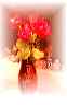 flowers24