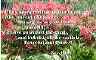 flowers32