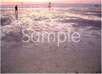 ocean01.jpg