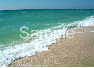 ocean03.jpg
