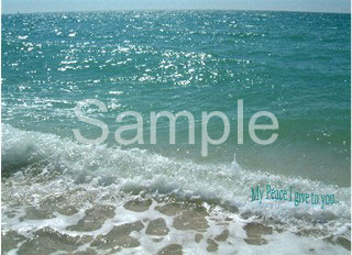 ocean05.jpg