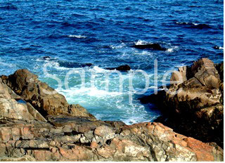 ocean06.jpg
