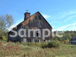 barn8.jpg