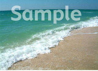 ocean03.jpg