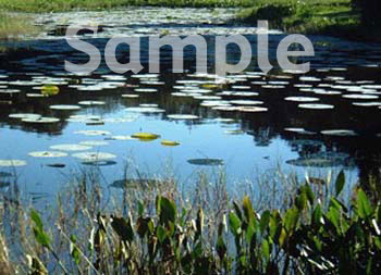water03.jpg