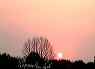 sunset04