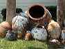 pots1