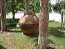 pots3