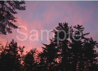 sunset02.JPEG